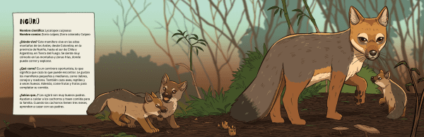 LA FAUNA DEL WALLMAPU - Imagen 4