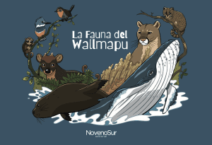 LA FAUNA DEL WALLMAPU